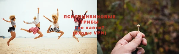СК Магадан