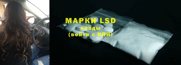СК Магадан