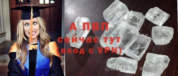 СК Магадан