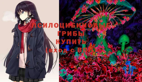 СК Магадан