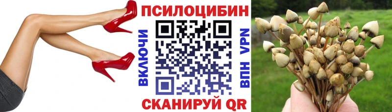 Галлюциногенные грибы мицелий  Новая Ляля 